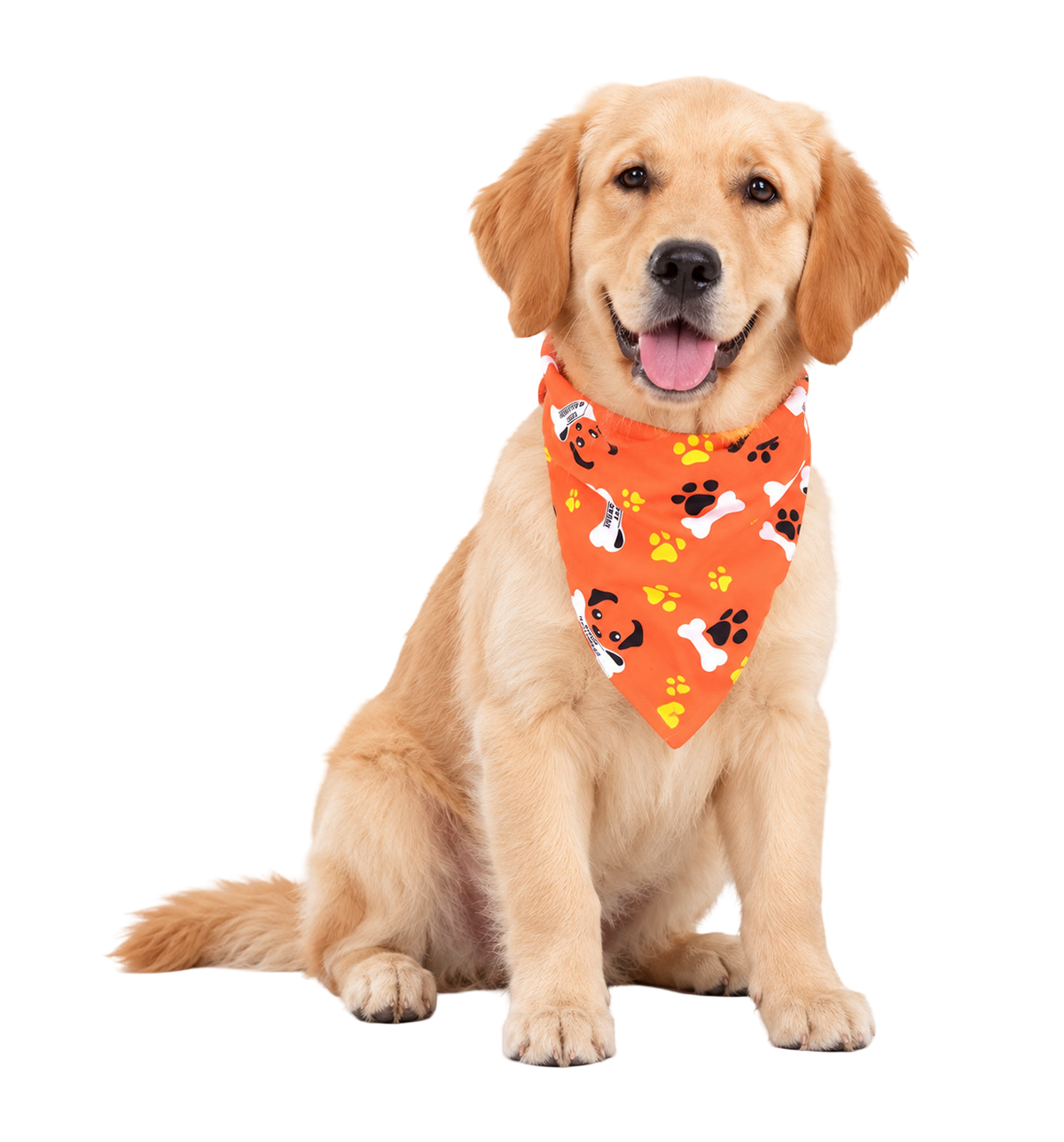 Halloween Dog Bandana