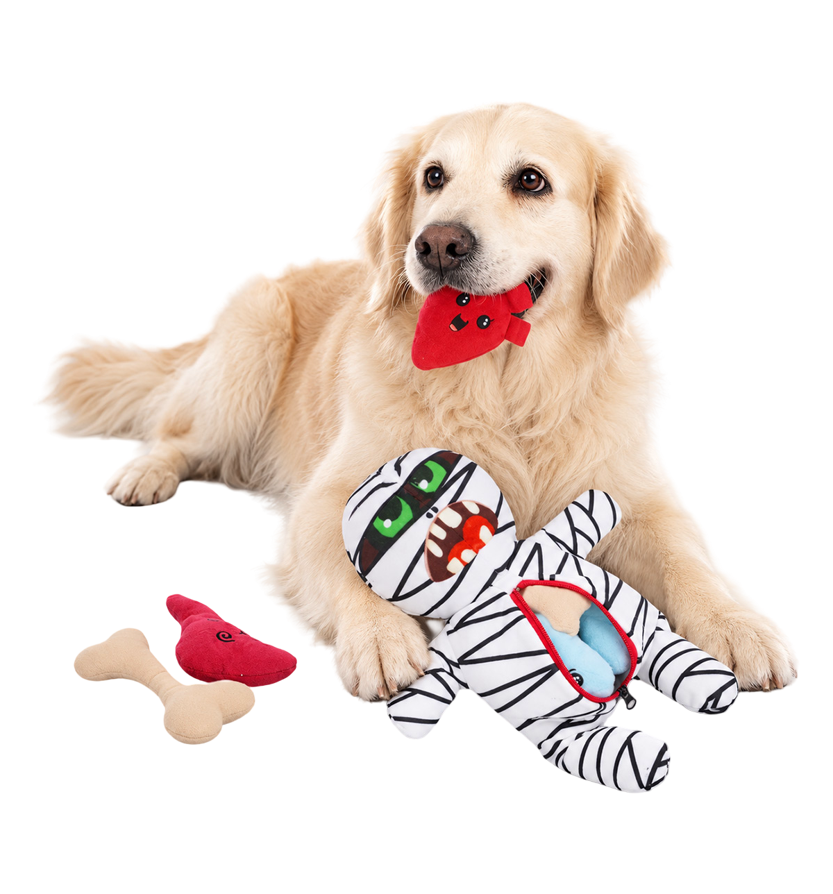 Puppet Dog Training Toy