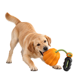 Pumpkin Tug Dog Toy