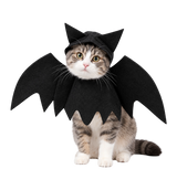 Bat Wing Pet Costume