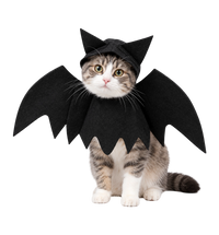 Bat Wing Pet Costume