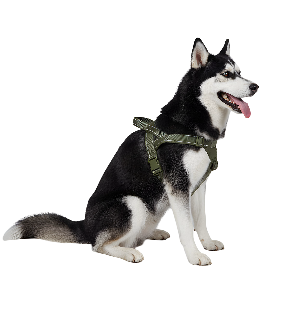 Axel-Outdoor Harness