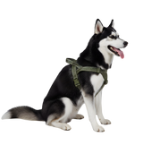 Axel-Outdoor Harness
