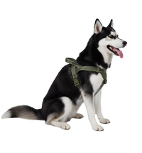 Axel-Outdoor Harness