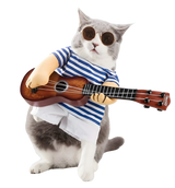 Trix-Guitarist Pet Suit