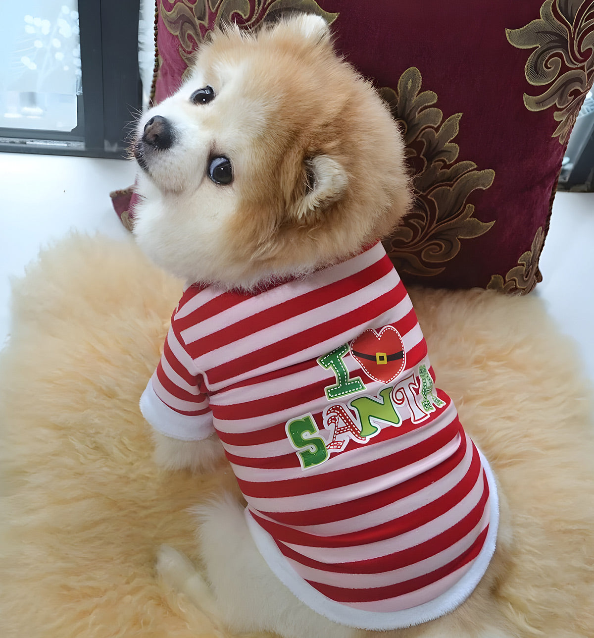 Lupy-Elf Stripe Suit