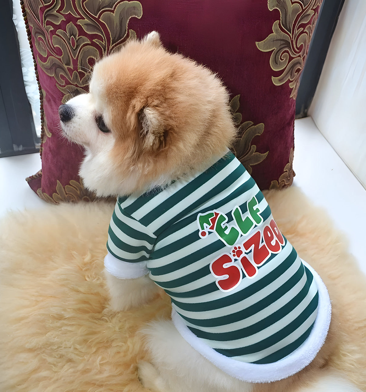 Lupy-Elf Stripe Suit