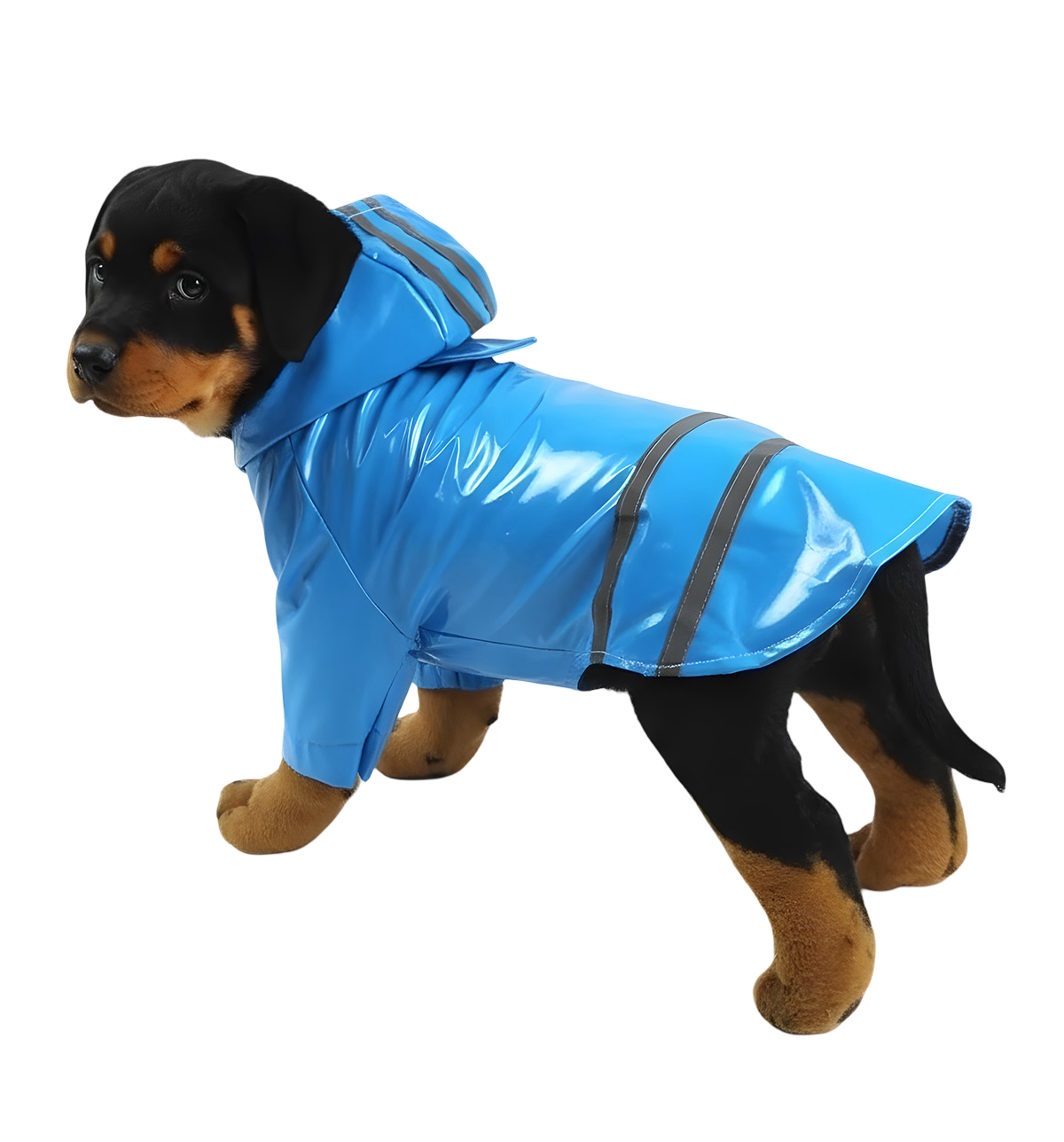 Rocky-Rain Pup Coat