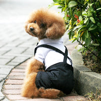 Dog Tuxedo Suit