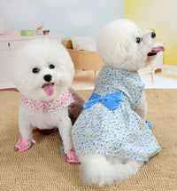 Liny-Floral Pet Dress