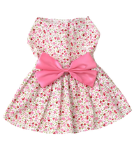Liny-Floral Pet Dress