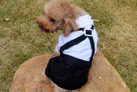 Dog Tuxedo Suit