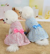Liny-Floral Pet Dress