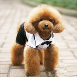 Dog Tuxedo Suit