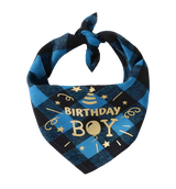 Max-Birthday Boy Scarf