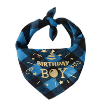 Max-Birthday Boy Scarf