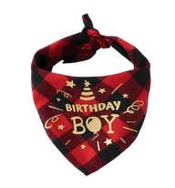 Max-Birthday Boy Scarf