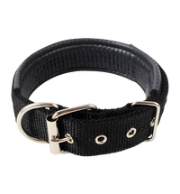 Ruby-Classic Pet Collar
