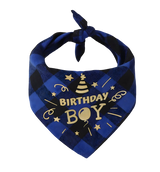 Max-Birthday Boy Scarf