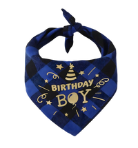 Max-Birthday Boy Scarf