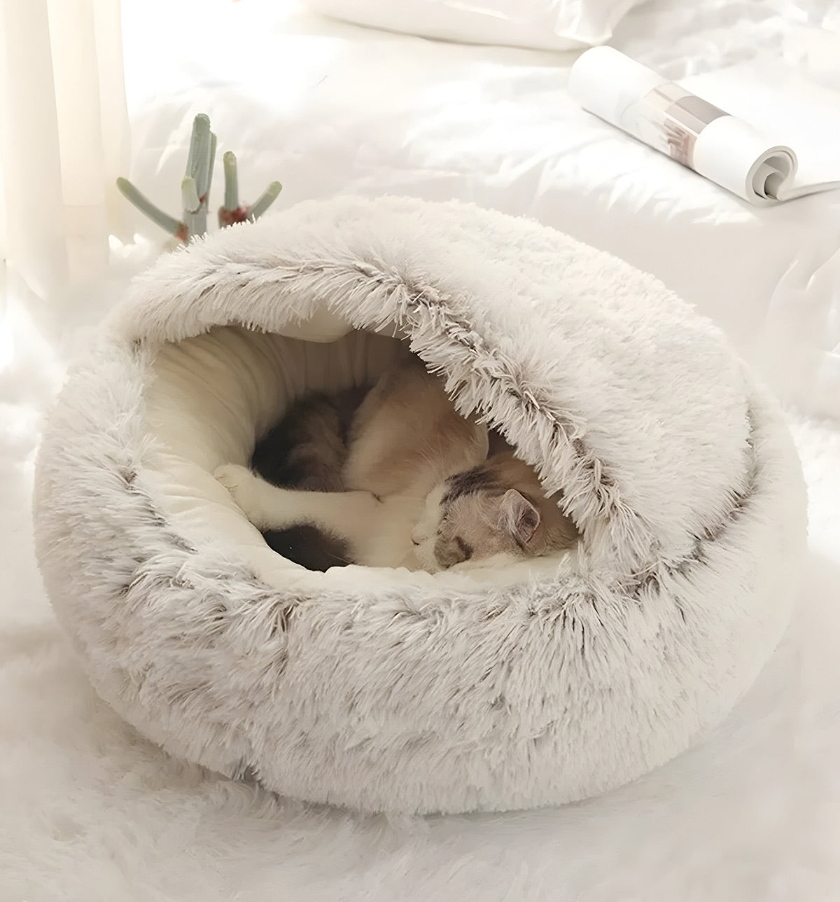 Miso-Fur Nest