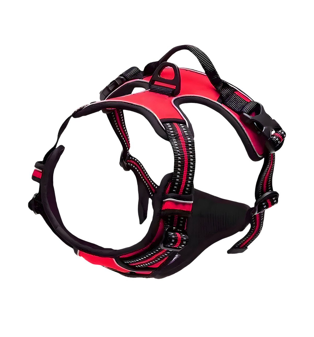 Rocky-Active Harness