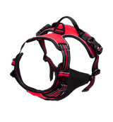 Rocky-Active Harness