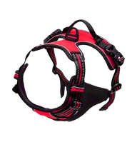 Rocky-Active Harness