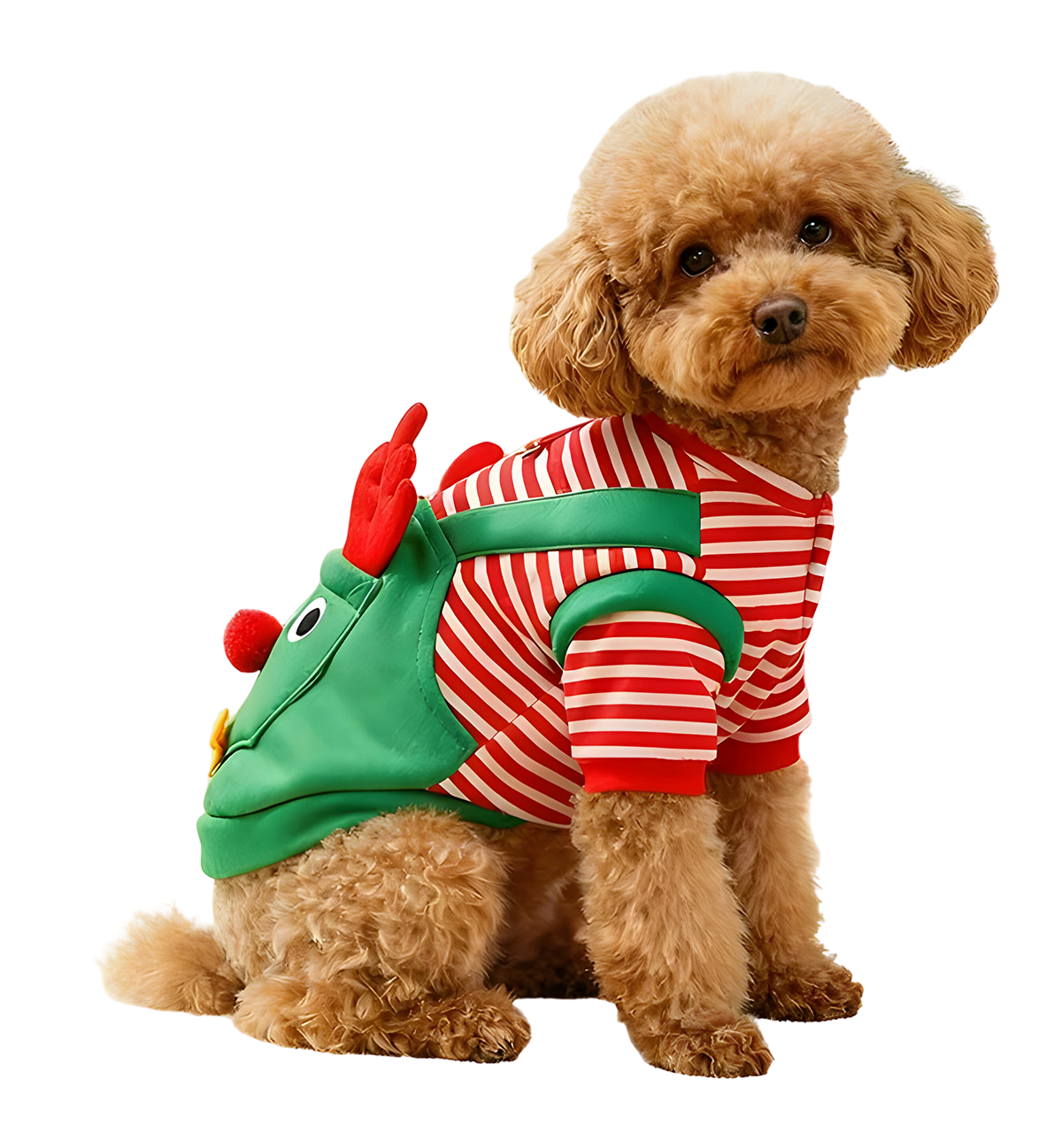 Lupy-Christmas Elf Suit