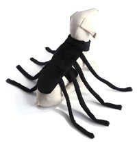 Lumo-Halloween Spider