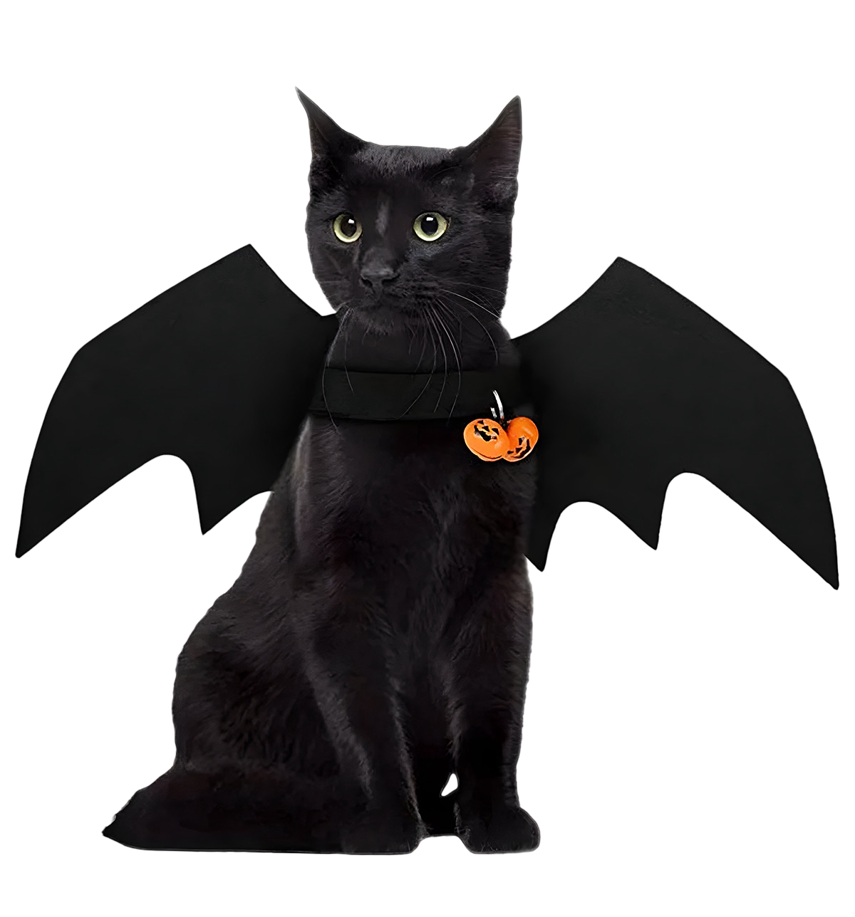 Luna-Bat Cat Costume