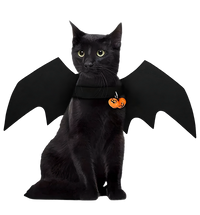 Luna-Bat Cat Costume