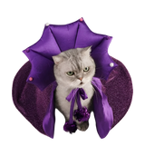 Witch Pet Costume