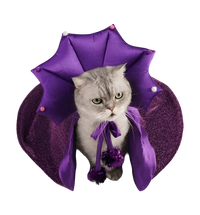 Witch Pet Costume