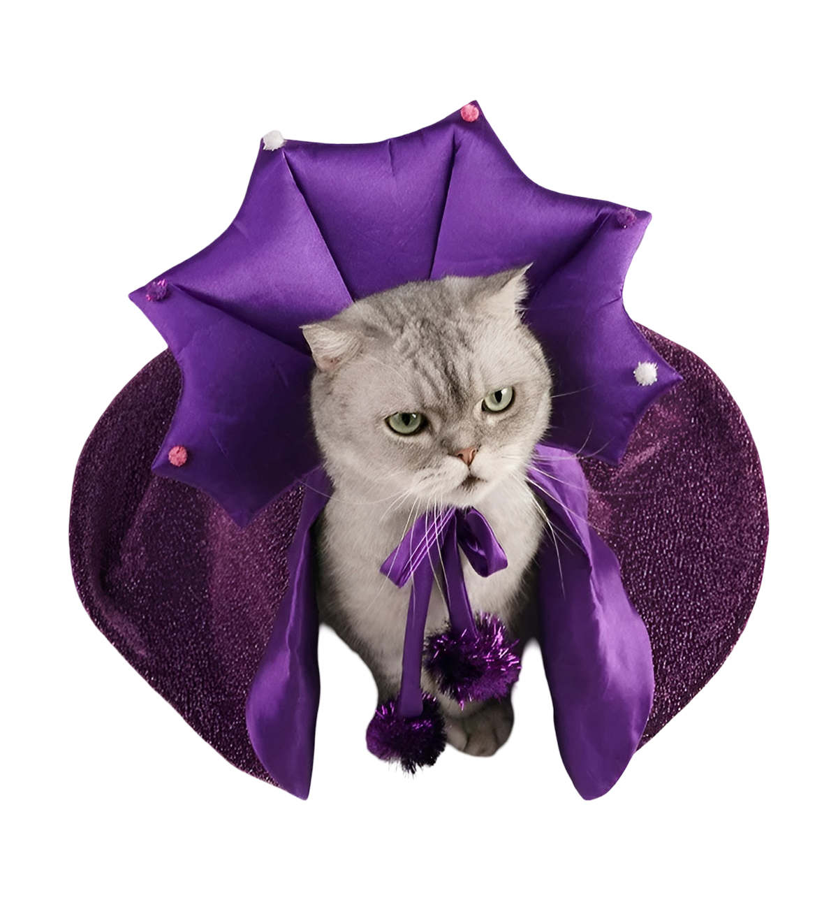 Witch Pet Costume
