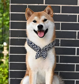 Nori-Classic Pet Scarf