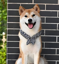 Nori-Classic Pet Scarf