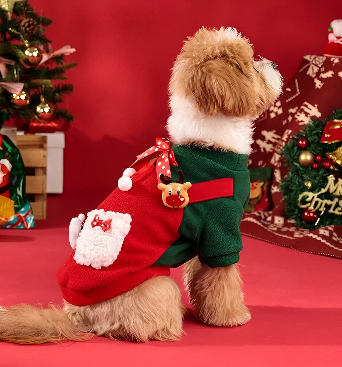 Noel-Holiday Pet Suit