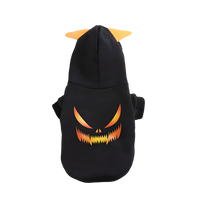 Roxy-Spooky Pet Hoodie