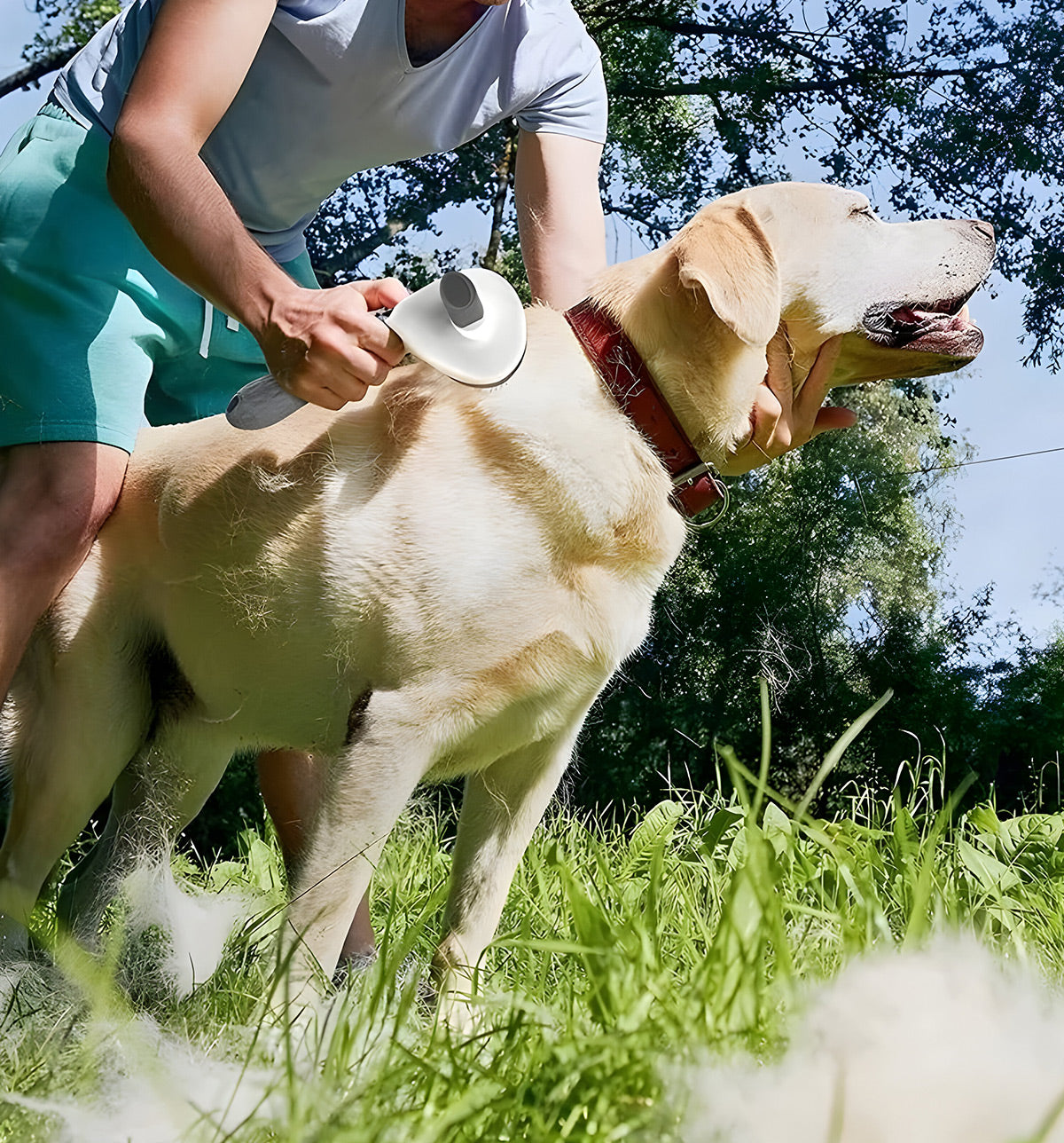 Mavi-Slick Pet Brush