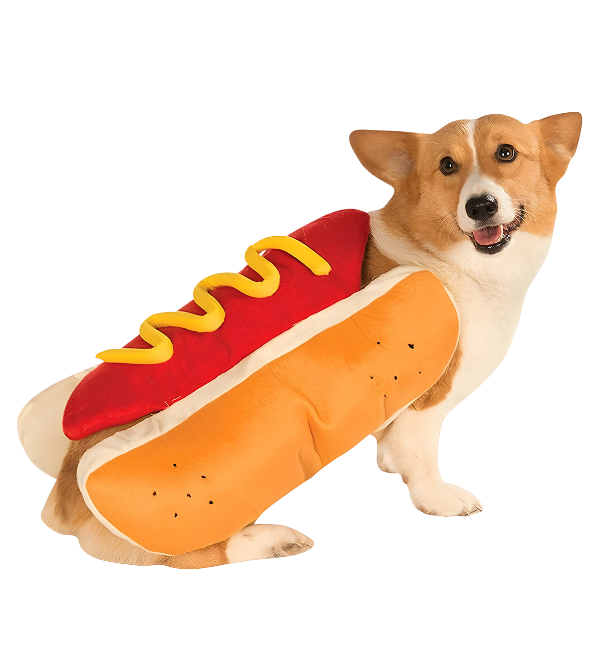 Nino-Hotdog Pet Suit