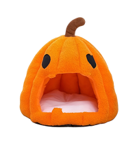 Nori-Pumpkin Hut