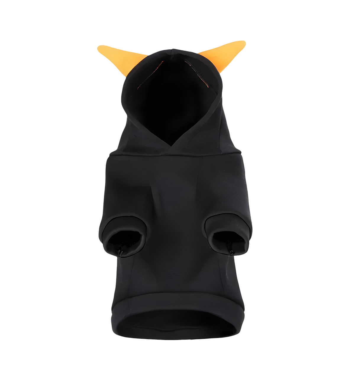 Roxy-Spooky Pet Hoodie