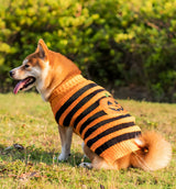 Tina-Halloween Sweater