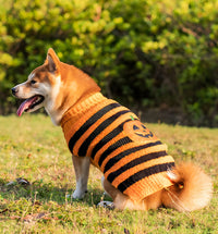 Tina-Halloween Sweater