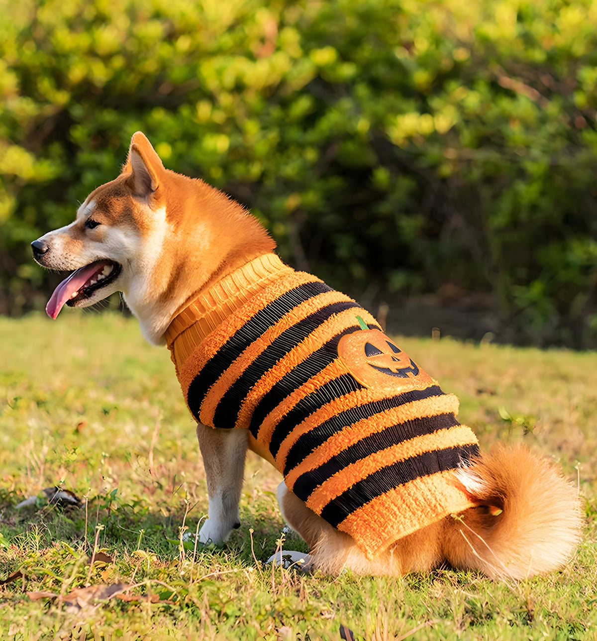 Tina-Halloween Sweater