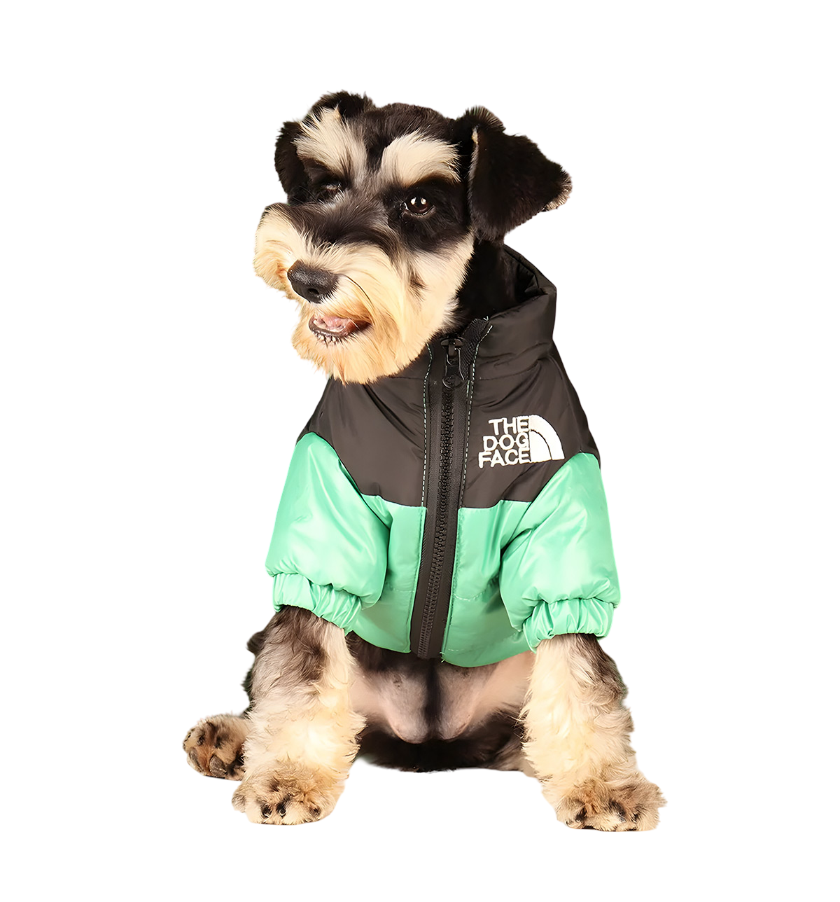 Zoly-Winter Pet Jacket