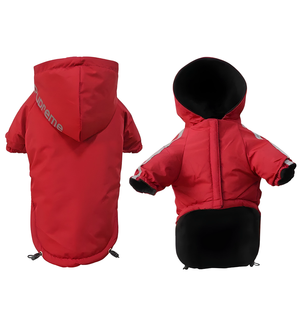 Rex-Winter Dog Jacket