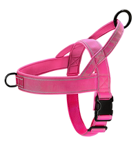 Axel-Outdoor Harness