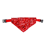 Milo-Colorful Pet Scarf